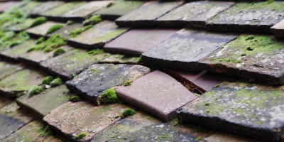 Hughenden roof repair costs